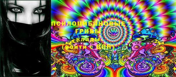 PSILOCYBIN Богородицк